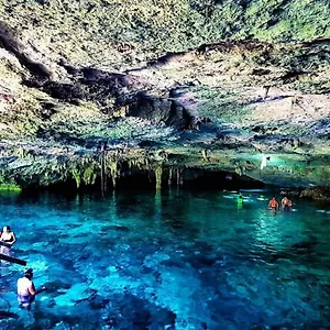 Campo de lujo En La Selva De, Tulum